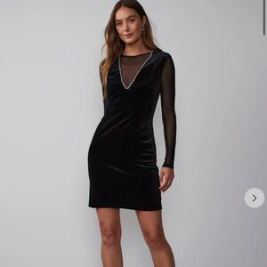 NWT Long sleeve velvet dress